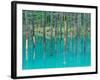 Shirogane Hot Springs, Blue Marsh, Hokkaido, Japan-Rob Tilley-Framed Photographic Print