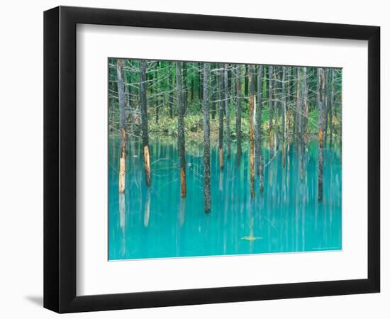 Shirogane Hot Springs, Blue Marsh, Hokkaido, Japan-Rob Tilley-Framed Photographic Print