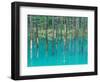 Shirogane Hot Springs, Blue Marsh, Hokkaido, Japan-Rob Tilley-Framed Photographic Print