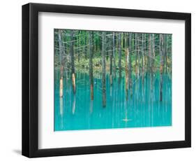 Shirogane Hot Springs, Blue Marsh, Hokkaido, Japan-Rob Tilley-Framed Photographic Print