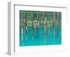 Shirogane Hot Springs, Blue Marsh, Hokkaido, Japan-Rob Tilley-Framed Photographic Print