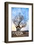 Shiva Shrine Sits Upon a Hill in the World Heritage Site of Hampi, India-Dan Holz-Framed Photographic Print