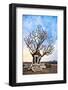 Shiva Shrine Sits Upon a Hill in the World Heritage Site of Hampi, India-Dan Holz-Framed Photographic Print