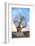 Shiva Shrine Sits Upon a Hill in the World Heritage Site of Hampi, India-Dan Holz-Framed Photographic Print