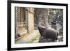 Shiva Shrines at Pashupatinath Temple, UNESCO World Heritage Site, Kathmandu, Nepal, Asia-Ian Trower-Framed Photographic Print