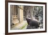 Shiva Shrines at Pashupatinath Temple, UNESCO World Heritage Site, Kathmandu, Nepal, Asia-Ian Trower-Framed Photographic Print