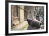 Shiva Shrines at Pashupatinath Temple, UNESCO World Heritage Site, Kathmandu, Nepal, Asia-Ian Trower-Framed Photographic Print