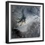 Shiveluch Volcano in Russia-Stocktrek Images-Framed Photographic Print