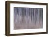 Shivering Silver 1-Jacob Berghoef-Framed Photographic Print