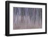 Shivering Silver 1-Jacob Berghoef-Framed Photographic Print