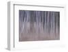 Shivering Silver 1-Jacob Berghoef-Framed Photographic Print