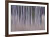 Shivering Silver 2-Jacob Berghoef-Framed Photographic Print