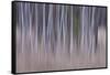 Shivering Silver 2-Jacob Berghoef-Framed Stretched Canvas