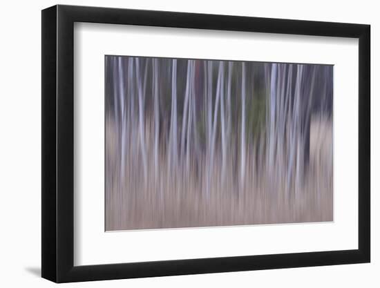 Shivering Silver 2-Jacob Berghoef-Framed Photographic Print