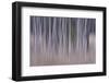 Shivering Silver 2-Jacob Berghoef-Framed Photographic Print