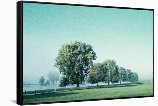 Shivering Trees In Morning Haze (2)-Jacob Berghoef-Framed Stretched Canvas