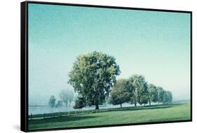 Shivering Trees In Morning Haze (2)-Jacob Berghoef-Framed Stretched Canvas