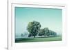 Shivering Trees In Morning Haze (2)-Jacob Berghoef-Framed Photographic Print