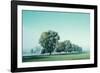 Shivering Trees In Morning Haze (2)-Jacob Berghoef-Framed Photographic Print