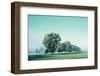 Shivering Trees In Morning Haze (2)-Jacob Berghoef-Framed Photographic Print