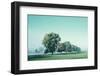 Shivering Trees In Morning Haze (2)-Jacob Berghoef-Framed Photographic Print