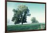 Shivering Trees in Morning Haze-Jacob Berghoef-Framed Photographic Print