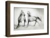 Shivers-Martine Benezech-Framed Photographic Print