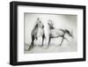 Shivers-Martine Benezech-Framed Photographic Print