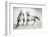 Shivers-Martine Benezech-Framed Photographic Print