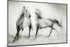 Shivers-Martine Benezech-Mounted Photographic Print