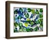 shoal of fish (oil on canvas)-jocasta shakespeare-Framed Giclee Print