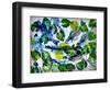 shoal of fish (oil on canvas)-jocasta shakespeare-Framed Giclee Print