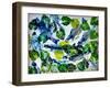 shoal of fish (oil on canvas)-jocasta shakespeare-Framed Giclee Print