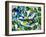 shoal of fish (oil on canvas)-jocasta shakespeare-Framed Giclee Print