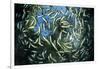 Shoal of Piraputanga, Bonito, Mato Grosso do Sul, Brazil-Franco Banfi-Framed Photographic Print