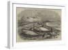 Shoal of Whales in the Solway Firth-null-Framed Giclee Print