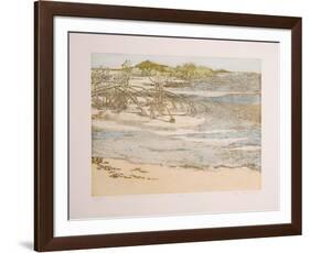 Shoals-Olga Poloukhine-Framed Limited Edition