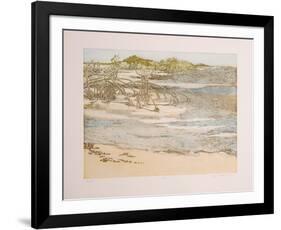 Shoals-Olga Poloukhine-Framed Limited Edition