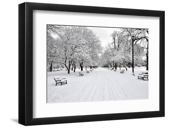 Premium Photographic Print, , large