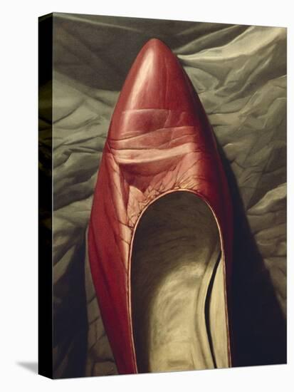 Shoe-like-Robert Burkall Marsh-Stretched Canvas