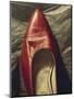 Shoe-like-Robert Burkall Marsh-Mounted Giclee Print