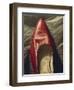 Shoe-like-Robert Burkall Marsh-Framed Premium Giclee Print