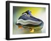 Shoe Skate-null-Framed Photographic Print