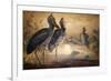 Shoebilled Stork, 1861-Joseph Wolf-Framed Premium Giclee Print