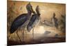 Shoebilled Stork, 1861-Joseph Wolf-Mounted Premium Giclee Print