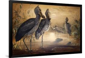 Shoebilled Stork, 1861-Joseph Wolf-Framed Giclee Print