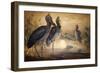 Shoebilled Stork, 1861-Joseph Wolf-Framed Giclee Print