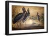 Shoebilled Stork, 1861-Joseph Wolf-Framed Giclee Print