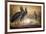 Shoebilled Stork, 1861-Joseph Wolf-Framed Giclee Print