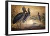 Shoebilled Stork, 1861-Joseph Wolf-Framed Giclee Print